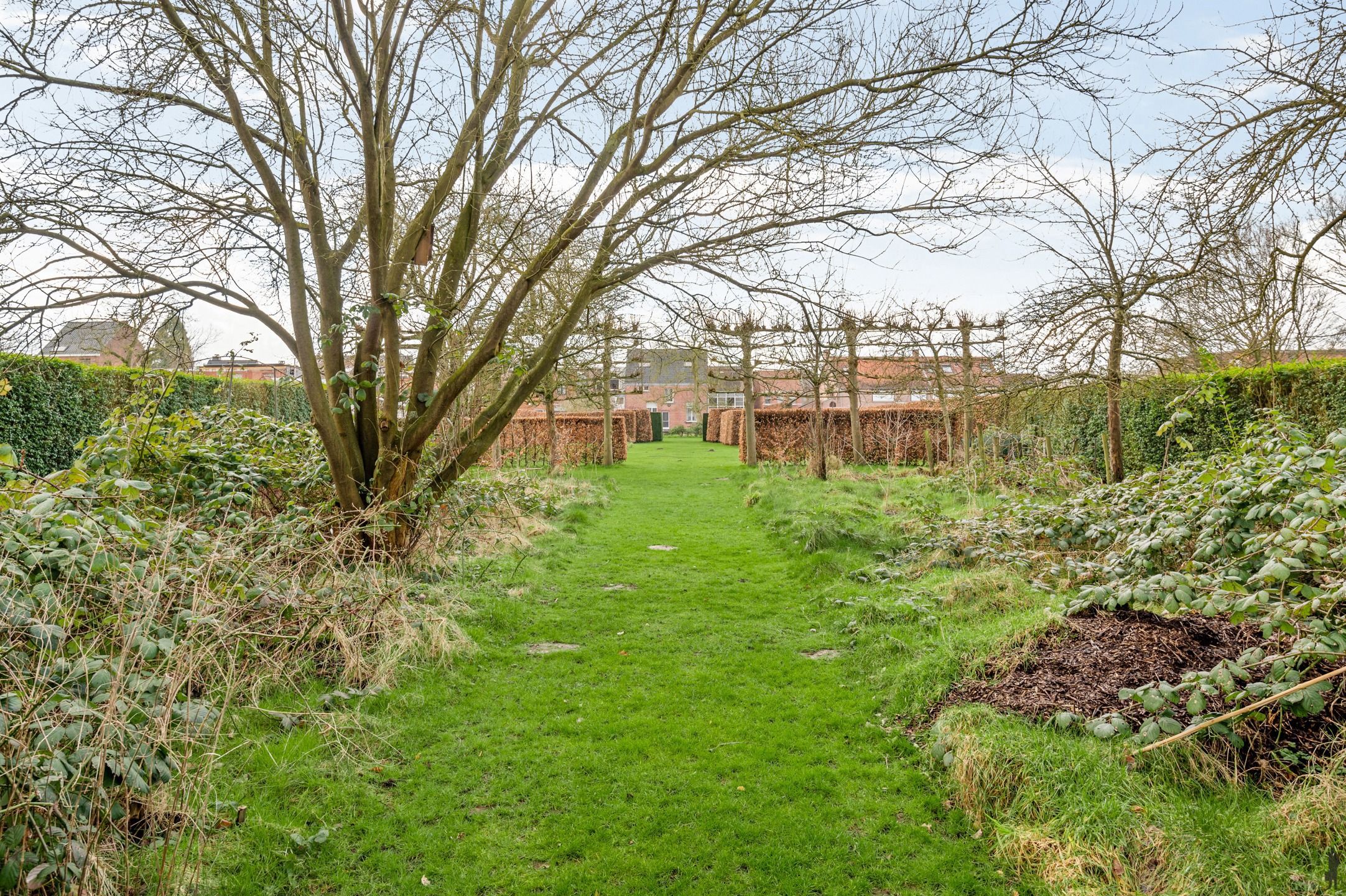 Bijzondere instapklare woning op een prachtig perceel. foto 33