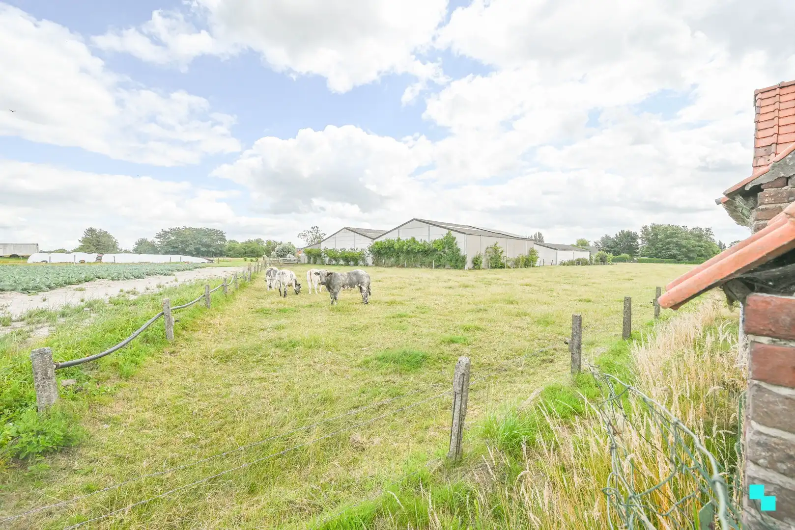 Landelijk gelegen, te renoveren woning op 1.767m² perceel foto 33