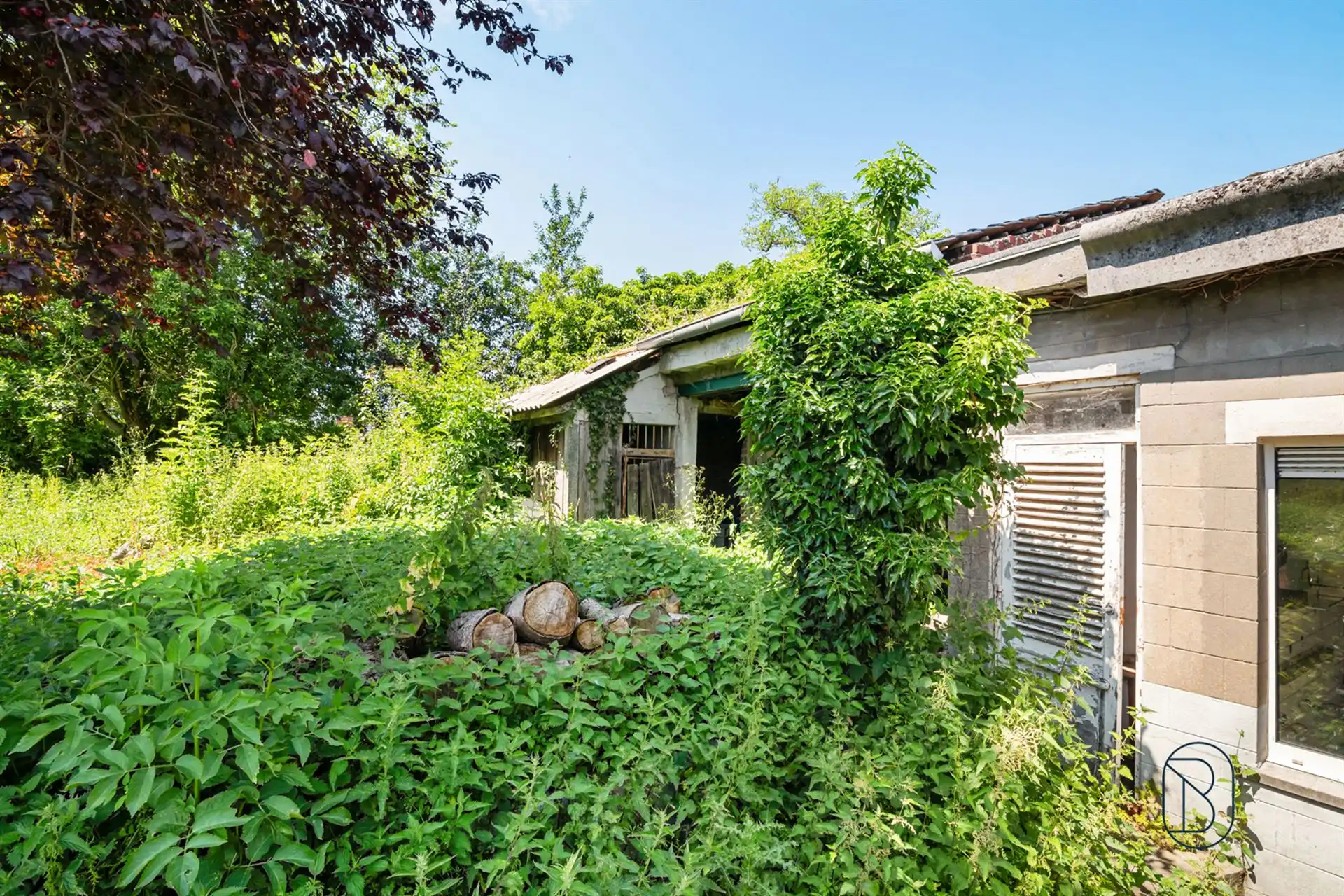 Totaal te renoveren woning met bijgebouwen op 1570m2 foto 35