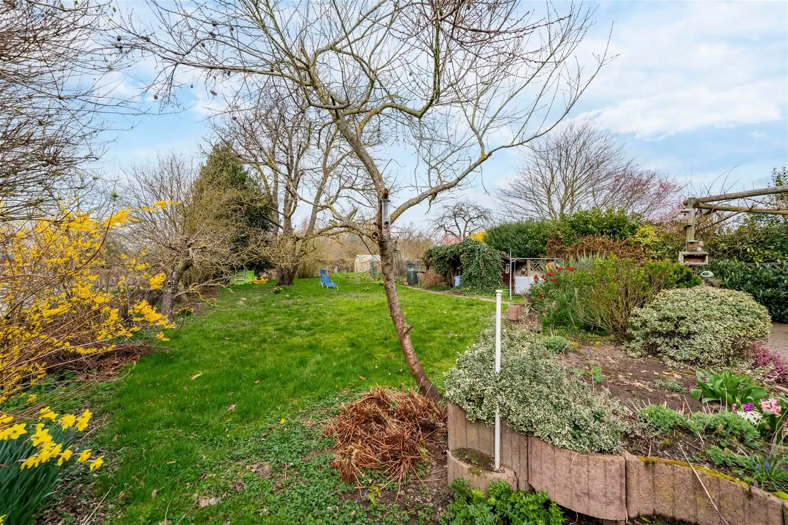 Commercieel uitstekend gelegen woning met tal van mogelijkheden foto 31