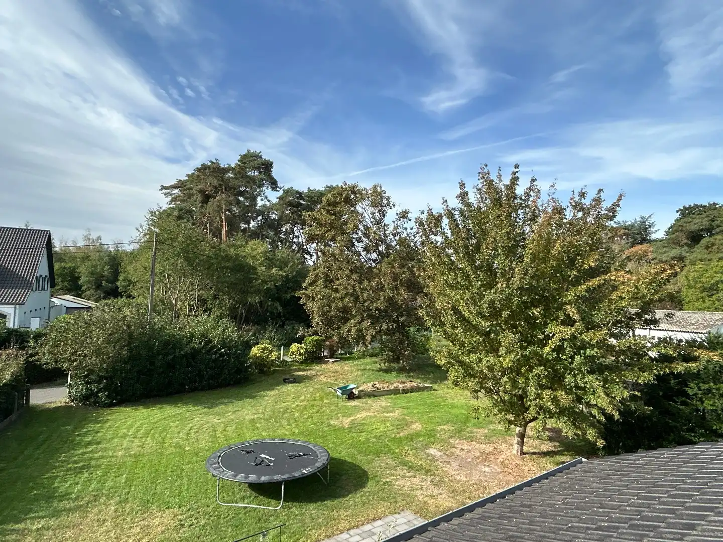  foto 21
