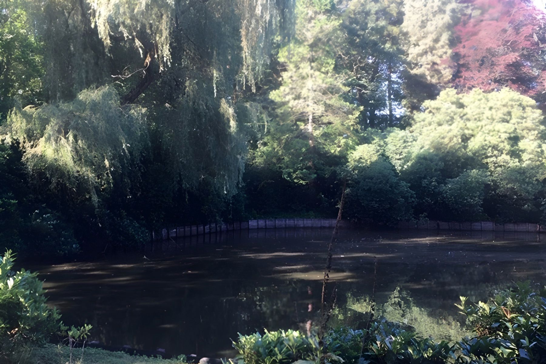 Villa in een oase van groen met zicht op waterpartij foto 22