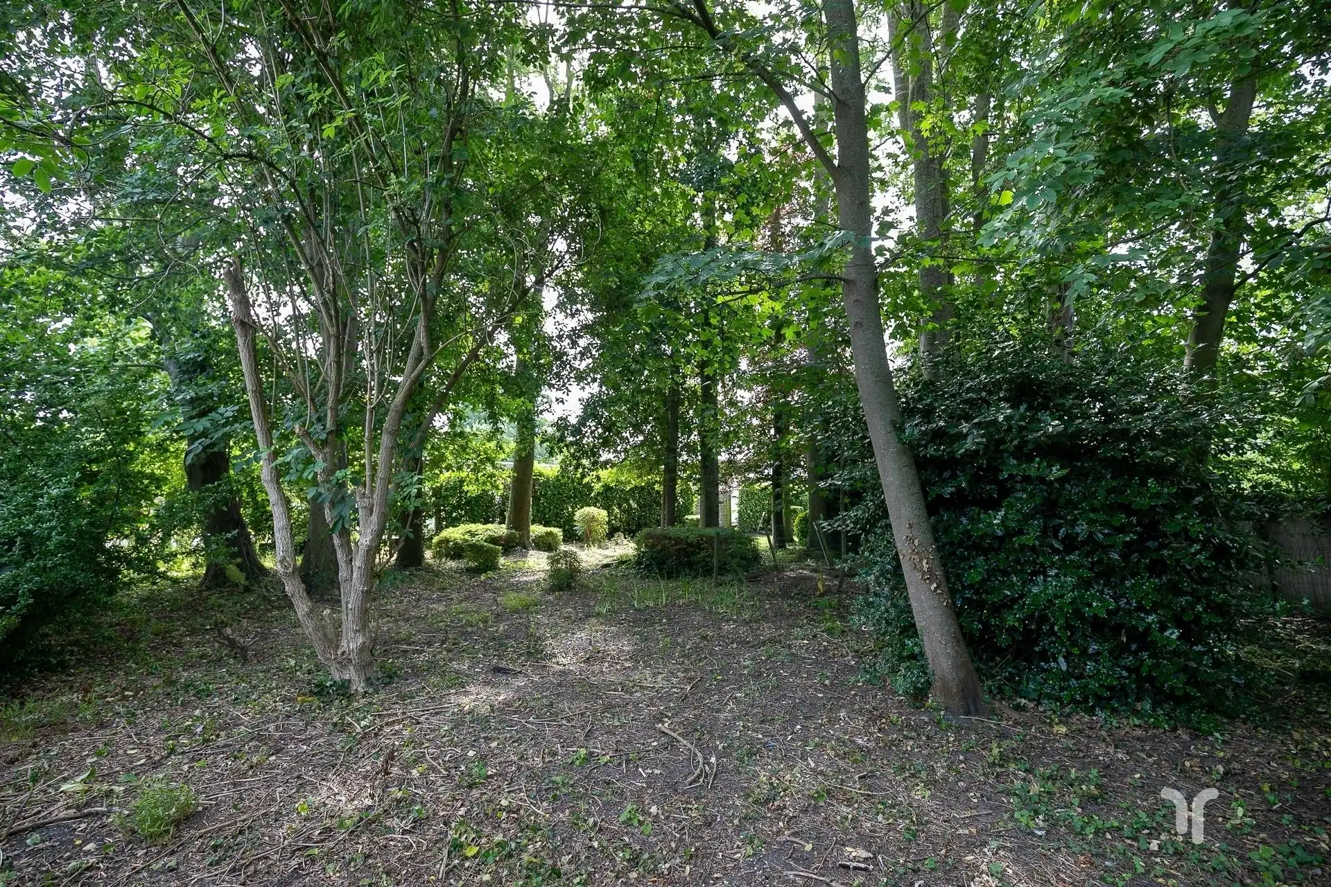 Instapklaar pand, met tal van mogelijkheden, met ruime tuin en uitweg. foto 14