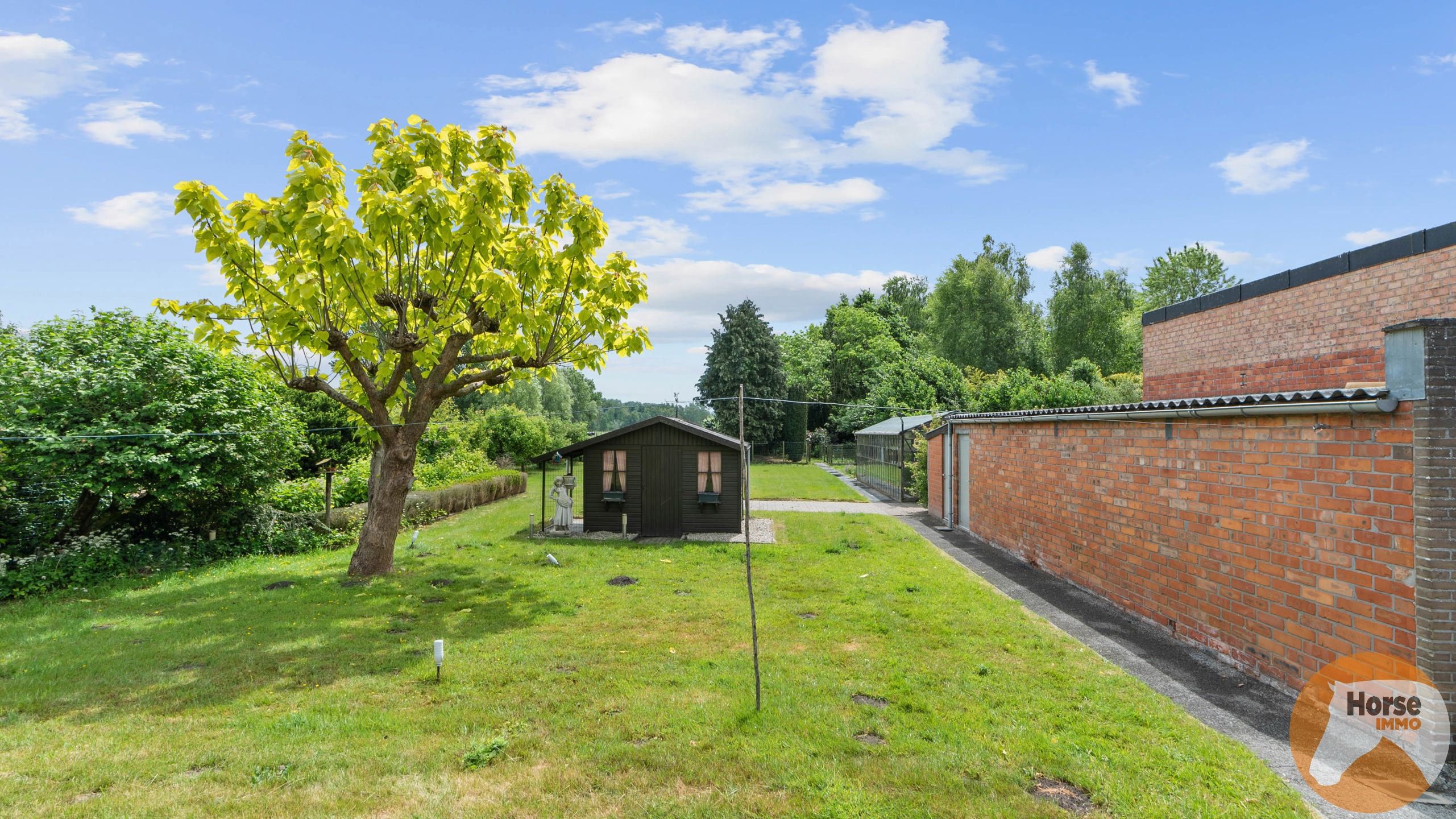 EKSAARDE - Te renoveren woning met oppervlakte bijna 4000m² foto 2