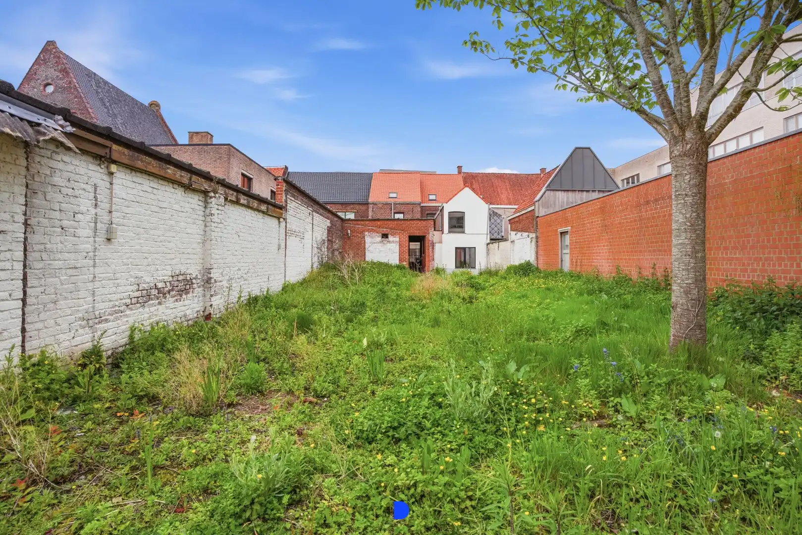 Instapklare woning met 4 slaapkamers en tuin foto 28