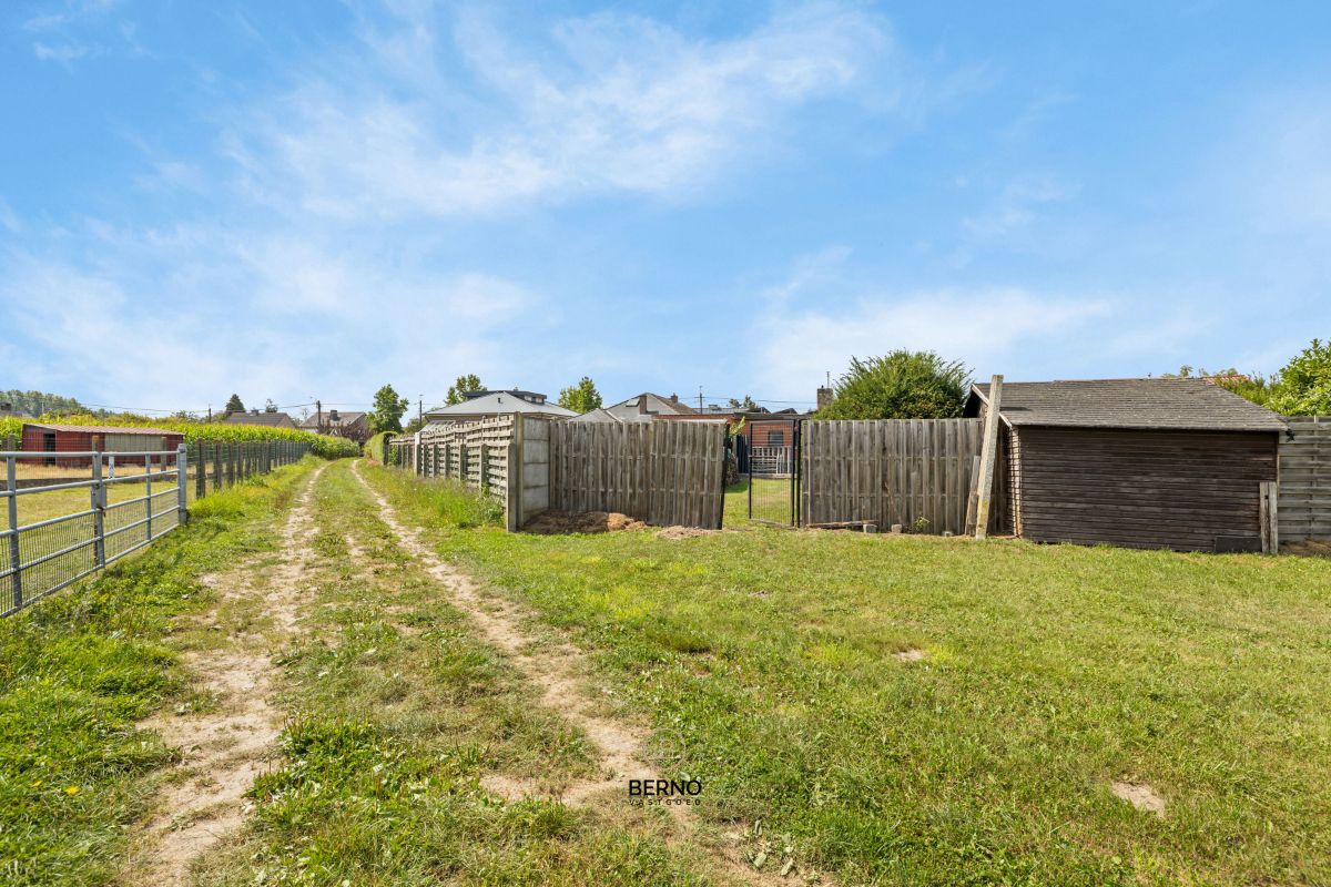 Instapklare gelijkvloerse woning op 1128 m² – 3 slaapkamers, ruime tuin én garage. foto 21