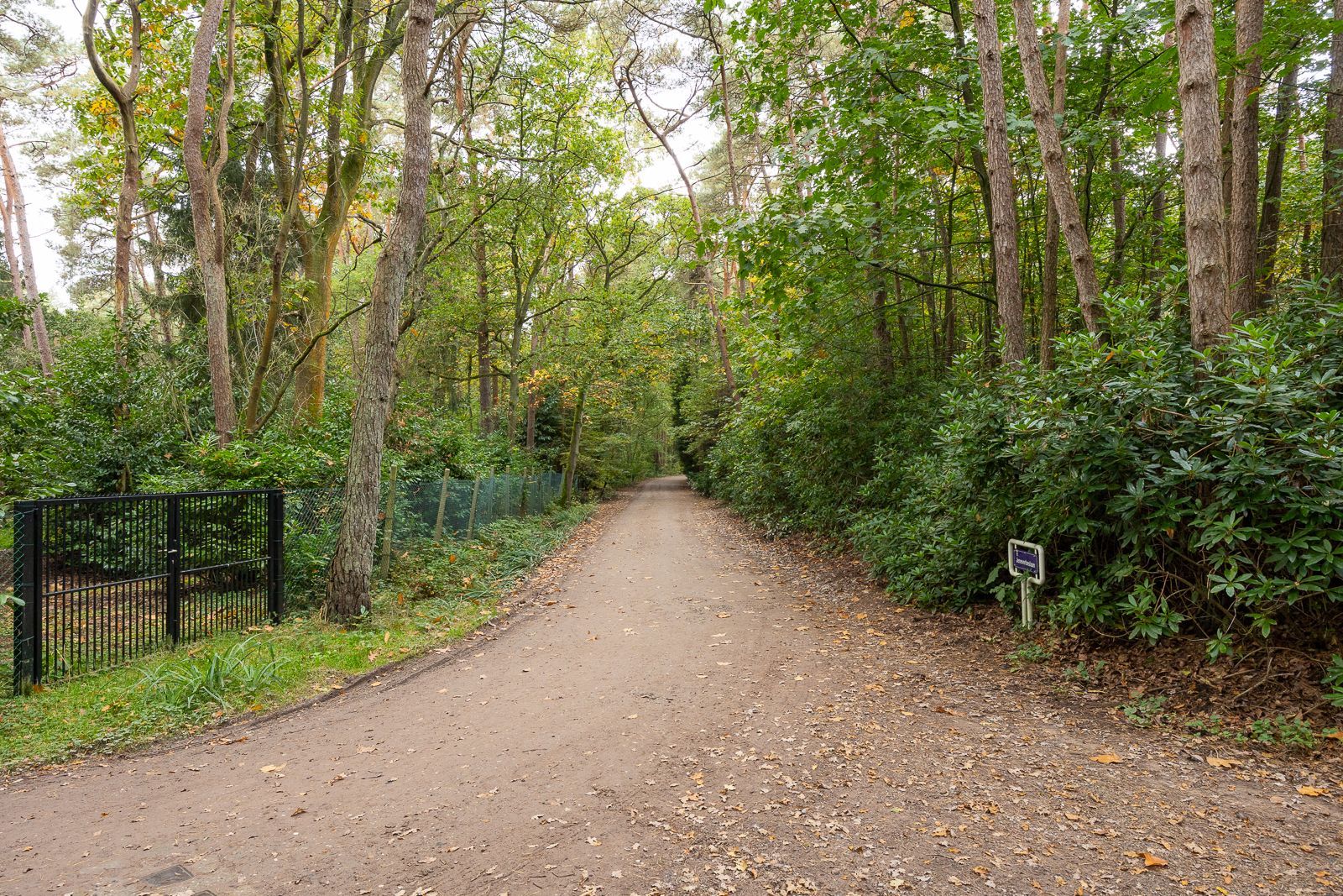 Unieke bouwgrond van 6.492,10 m² met ideale oriëntatie, rustig gelegen in het groene Wildert-Essen! foto 3