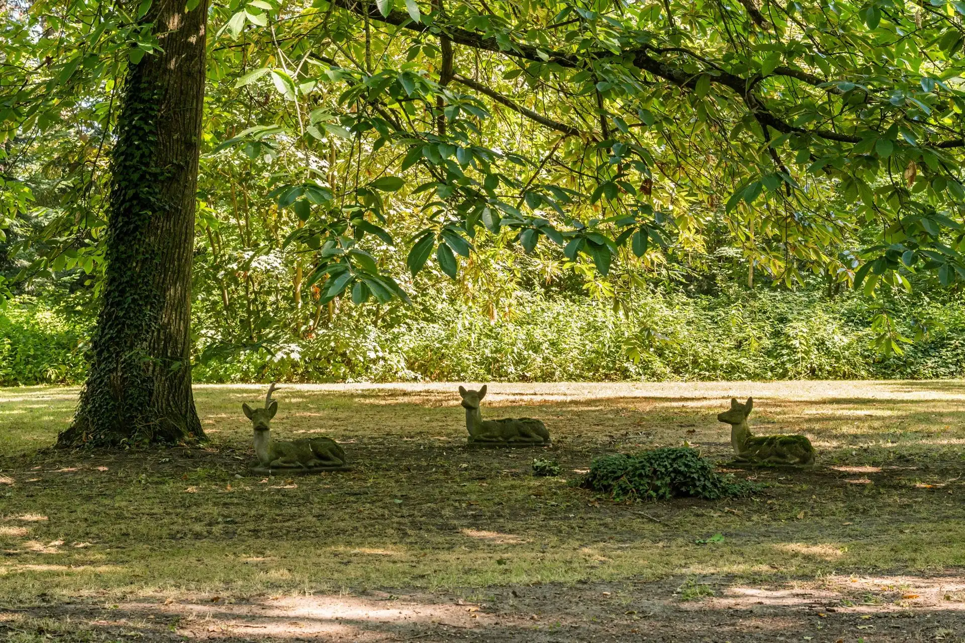 Prachtig kasteel met koetshuis op meer dan 8,7 hectare! foto 6