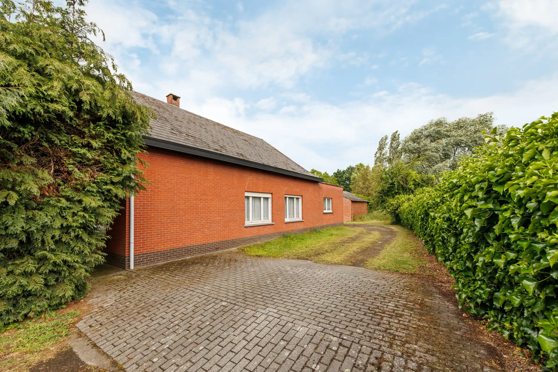 Unieke kans: Riant perceel (5.526 m²) met mogelijkheden foto 6