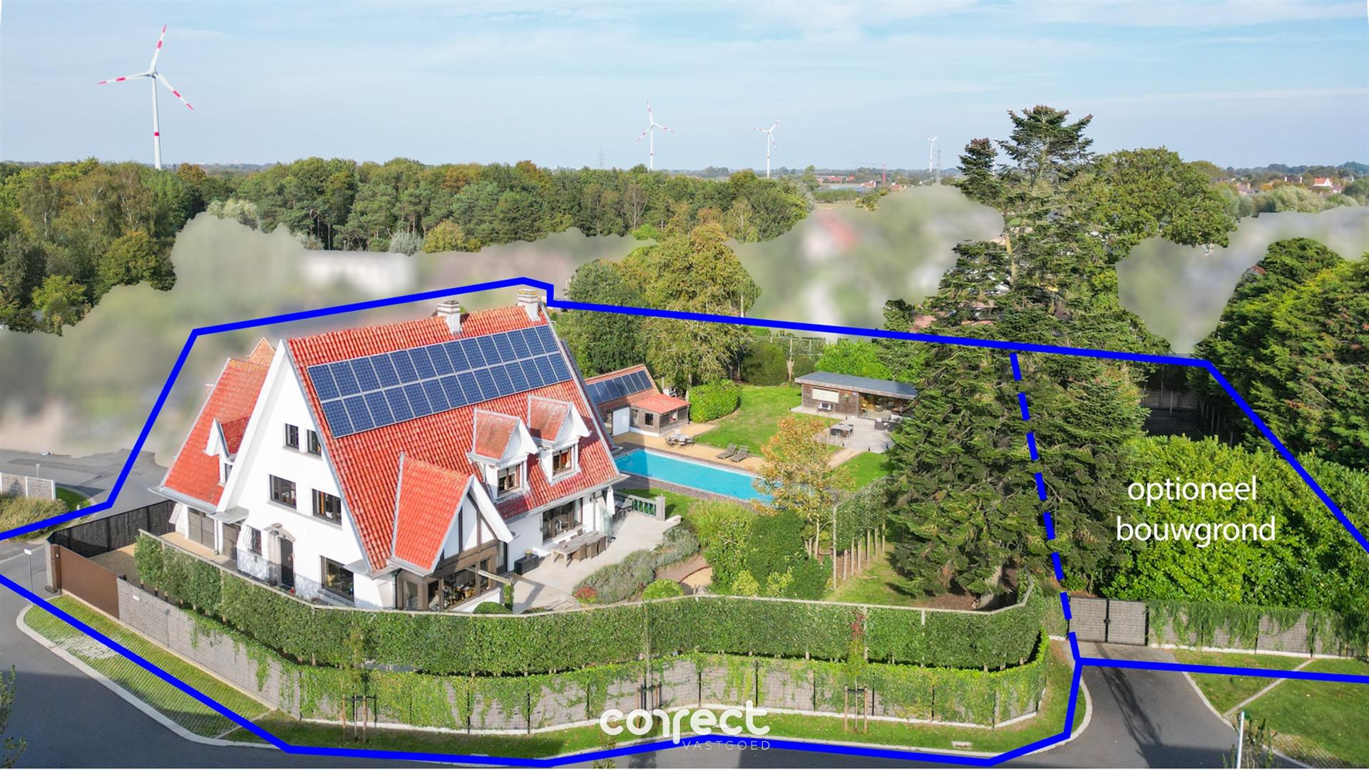 Authentieke villa op een royaal perceel, prachtige tuin met buitenzwembad en bijgebouwen. foto 3