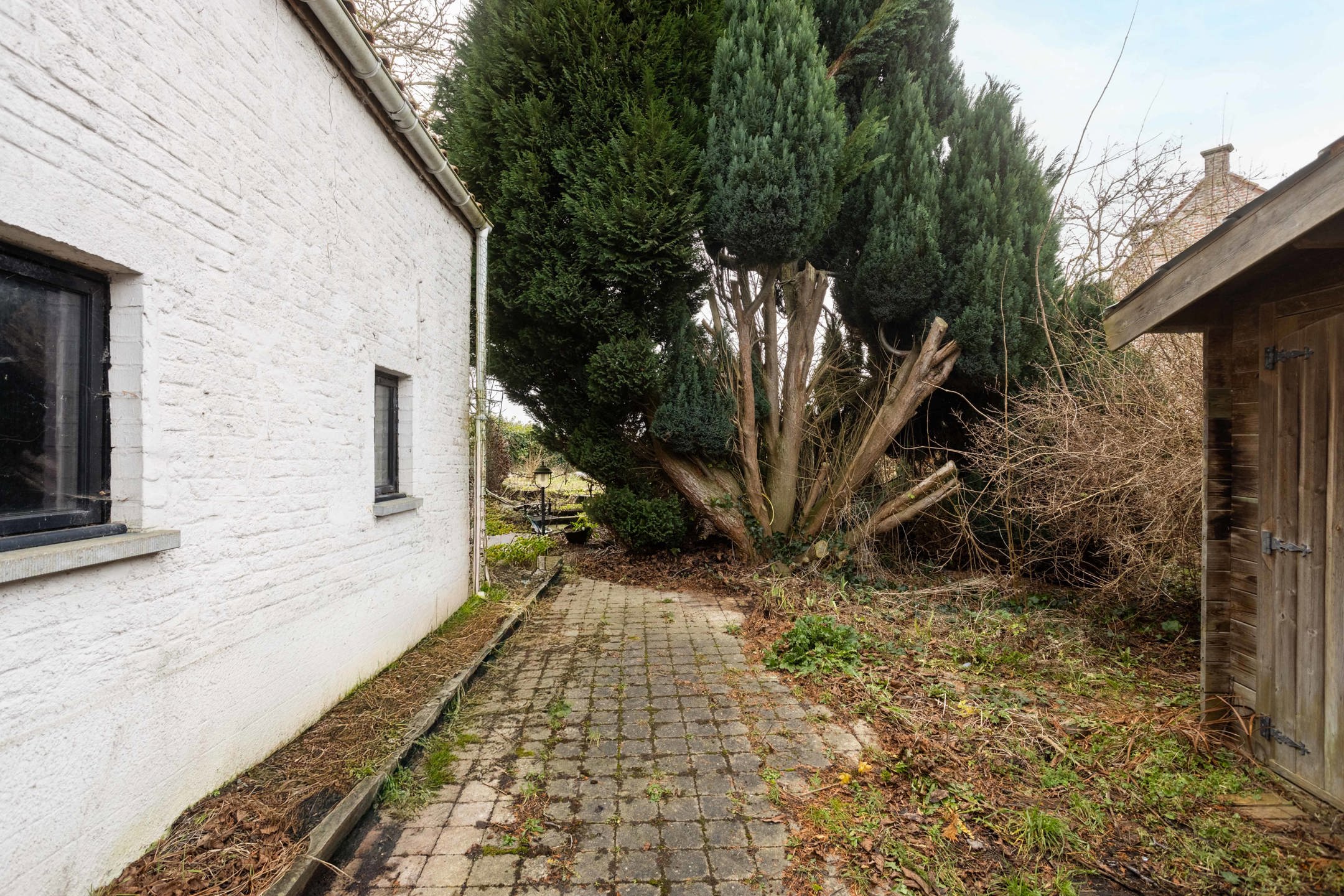Charmante woning met tal van mogelijkheden in Silly foto 27