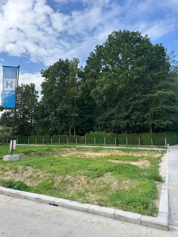 Bouwgrond in Waardamme voor open bebouwing foto 2
