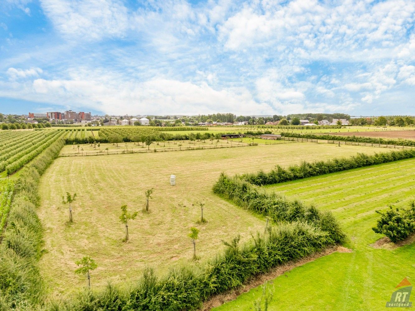 Gunstig gelegen landbouwgrond met een oppervlakte van meer dan 1,5 ha foto 4