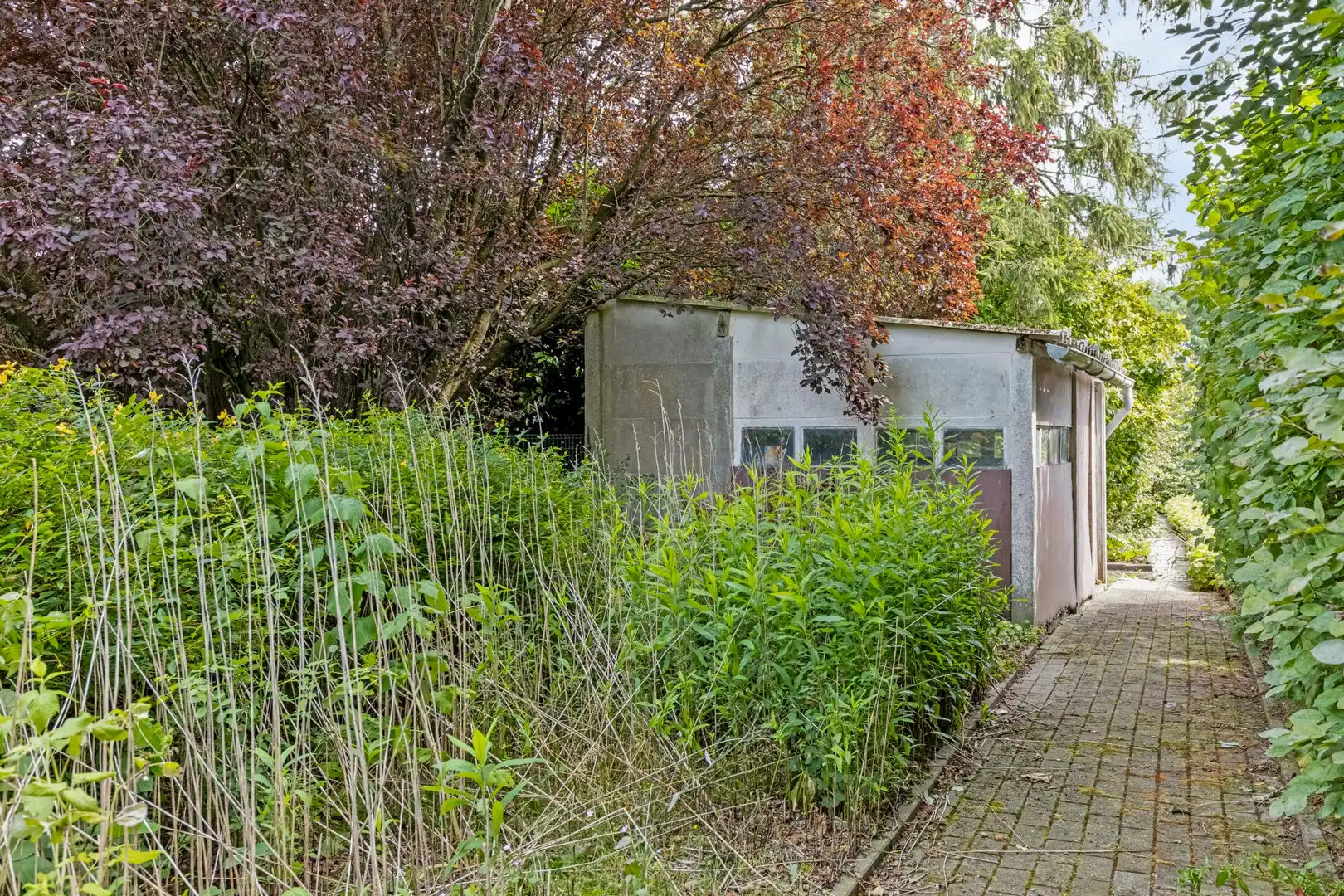 Villa foto 22