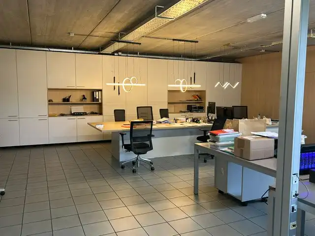 REPRESENTATIEF BEDRIJFSGEBOUW MET KANTOREN EN DUURZAME ENERGIE OP TOPLOCATIE TE HEUSEN - ZOLDER foto 7