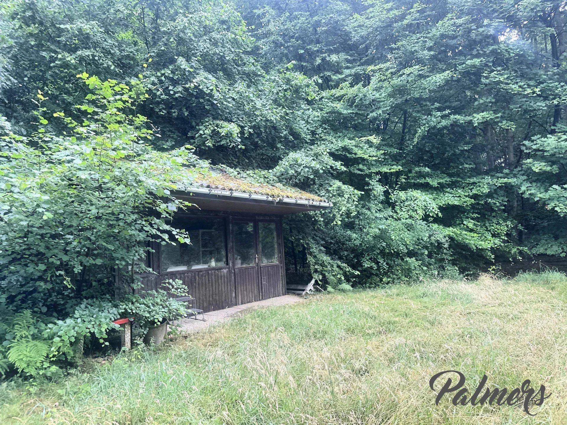 Comfort, ruimte èn ligging: instapklaar wonen in het groen. foto 44