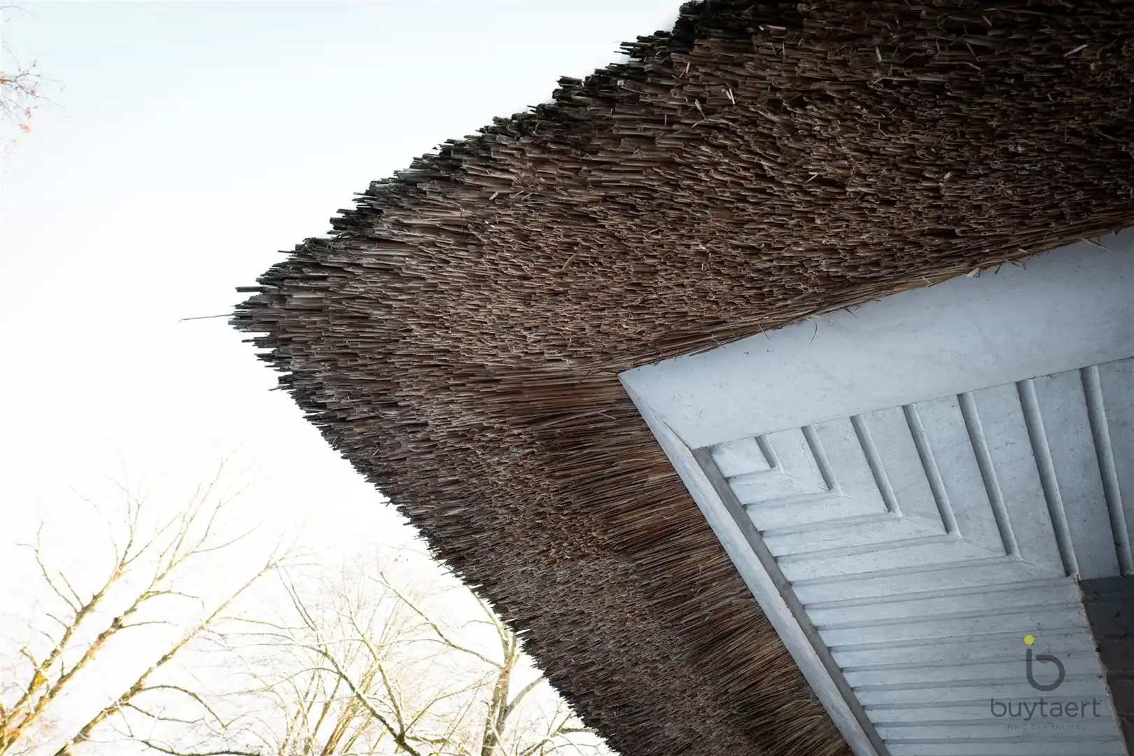 Villa met praktijk of  kangoeroewoning en Zuid - West tuin. foto 51