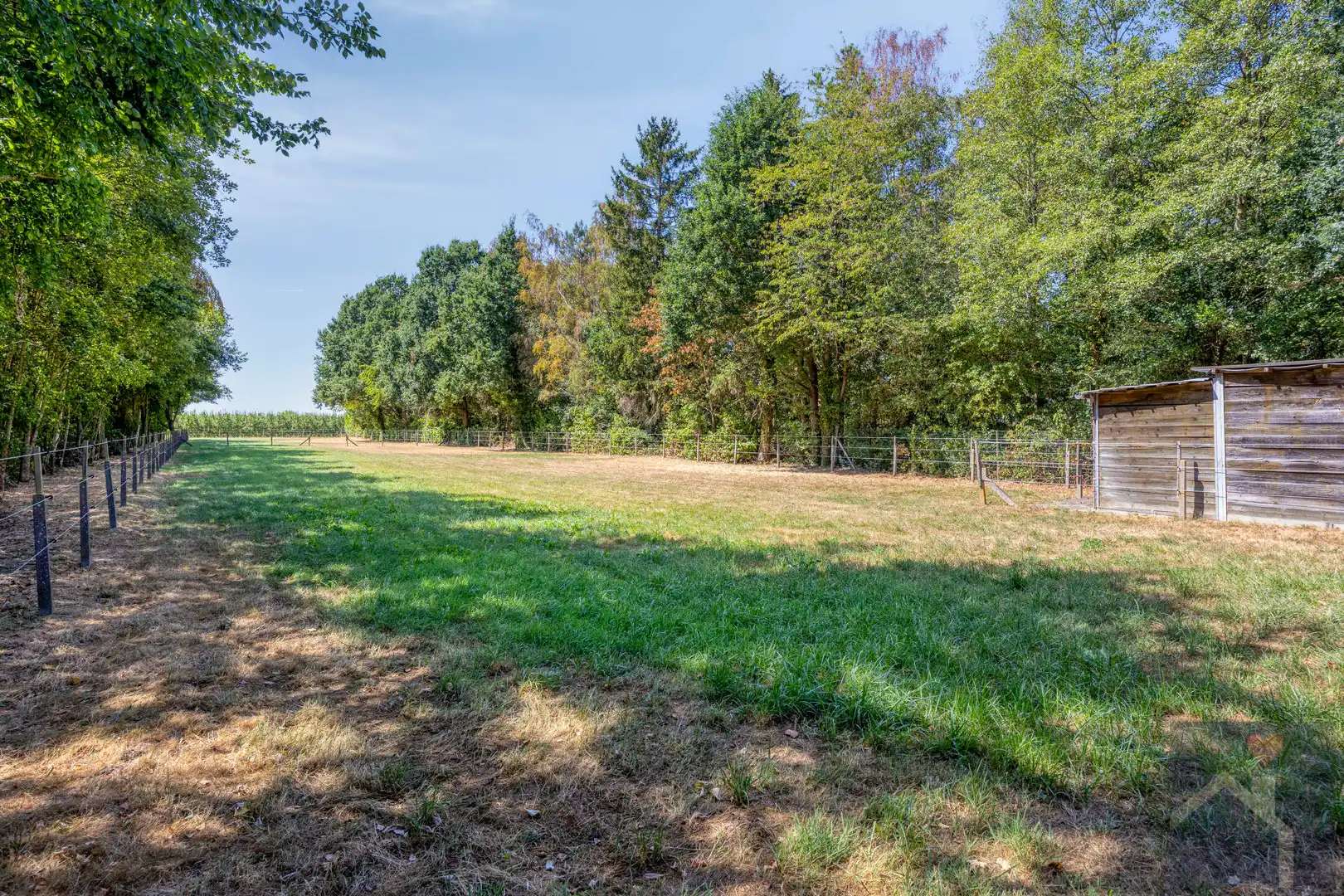 🐴 WONEN MET JE PAARDEN AAN HUIS? DIT IS ER ÉÉN OM TE BEKIJKEN! 🏡 foto 6
