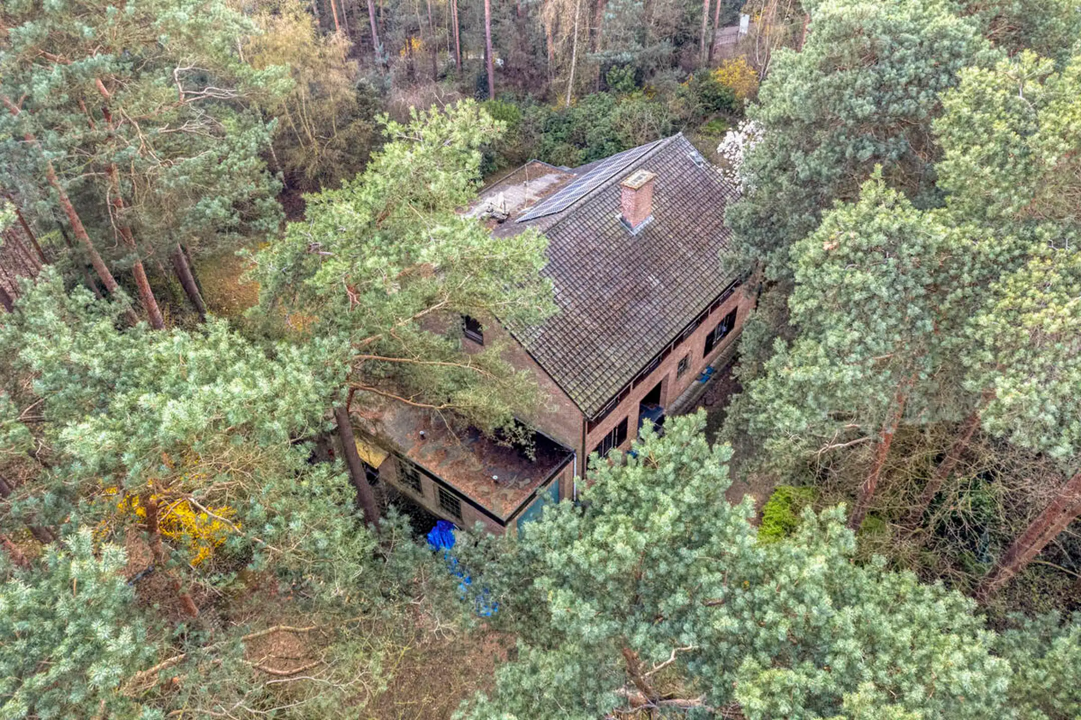 Uniek groen gelegen landhuis met eventuele praktijkruimte foto 9