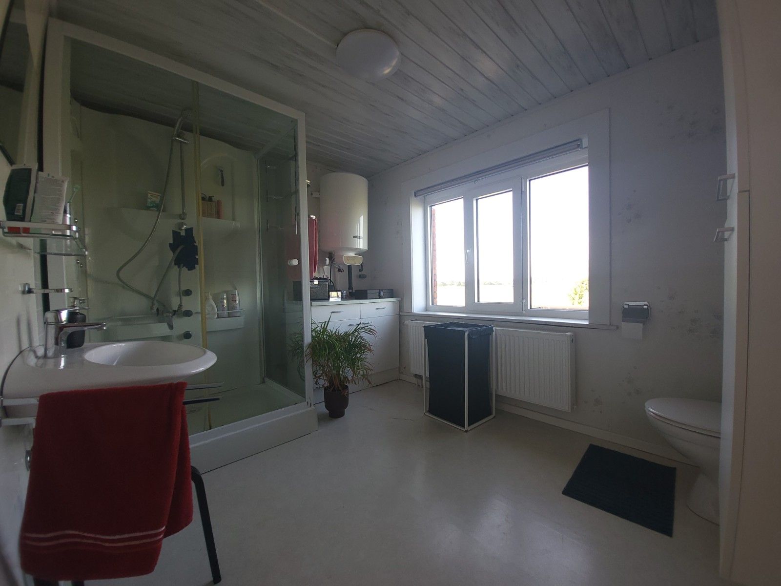 Alleenstaande woning met grote weide en stalling foto 11