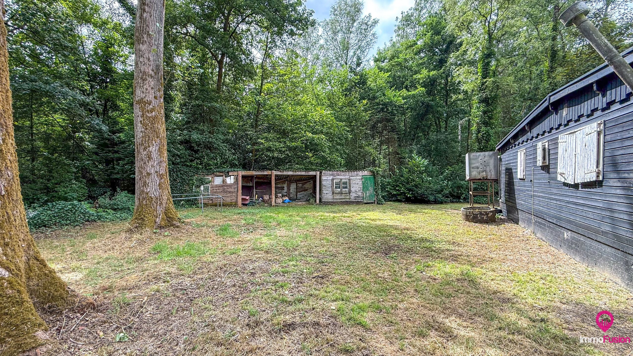 Droom buitenverblijf in Hasselt voor natuurliefhebbers!  foto 21