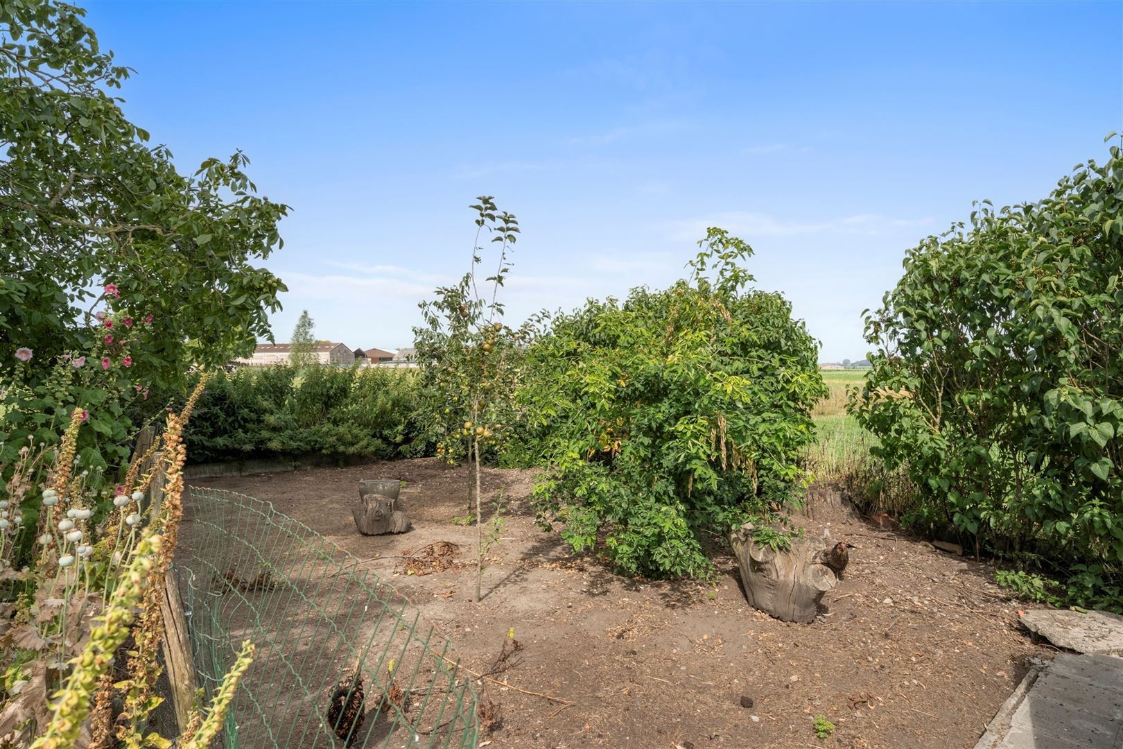 Huis foto 20