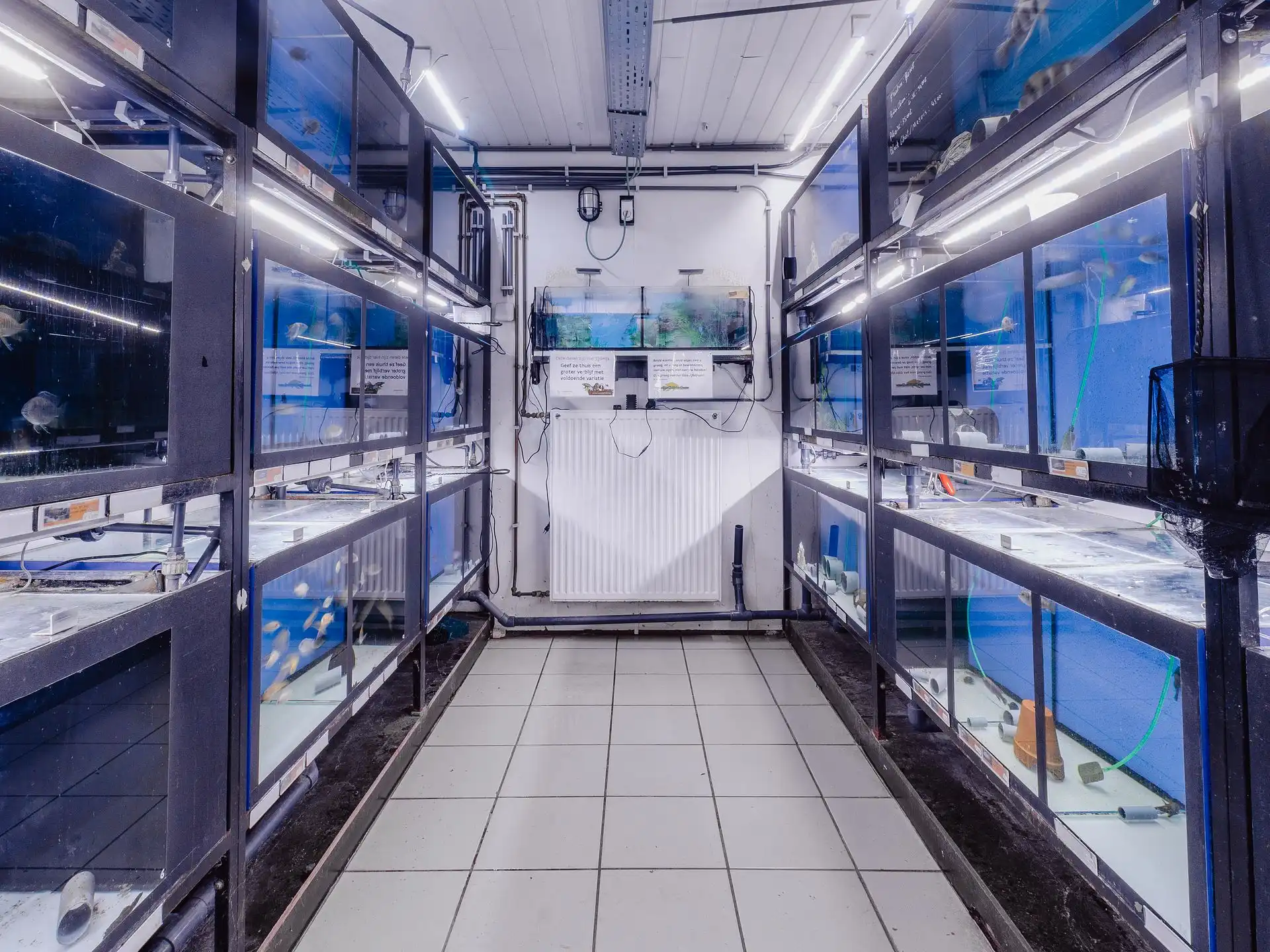 Volledig te renoveren bel-etage woning met terras foto 8