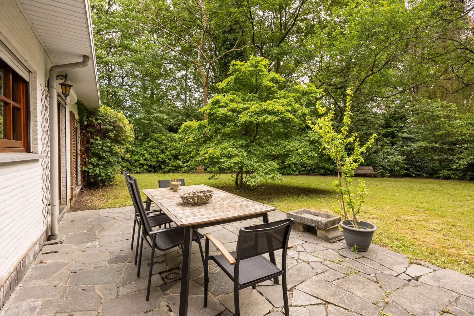 Hof Ter Linden volledig te renoveren villa op 2000 m² foto 10