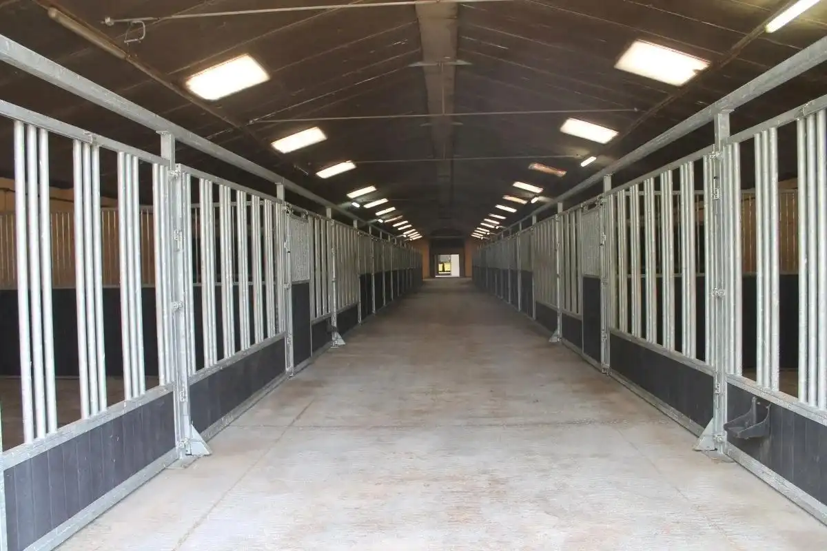 Boerderij met paardenfaciliteiten en graslanden op 14.490m² foto 5