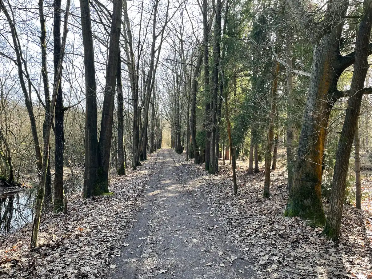 Verblijfsrecreatie met vijver foto 11