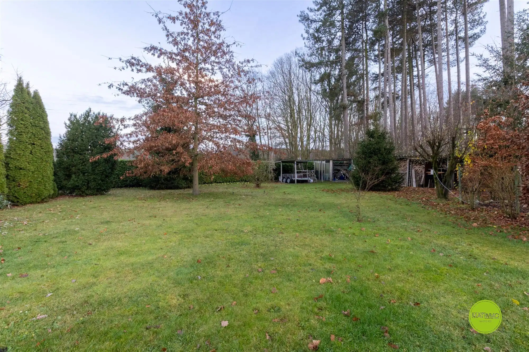 Centraal, rustig gelegen bungalow in het groen van Eksel  foto 2