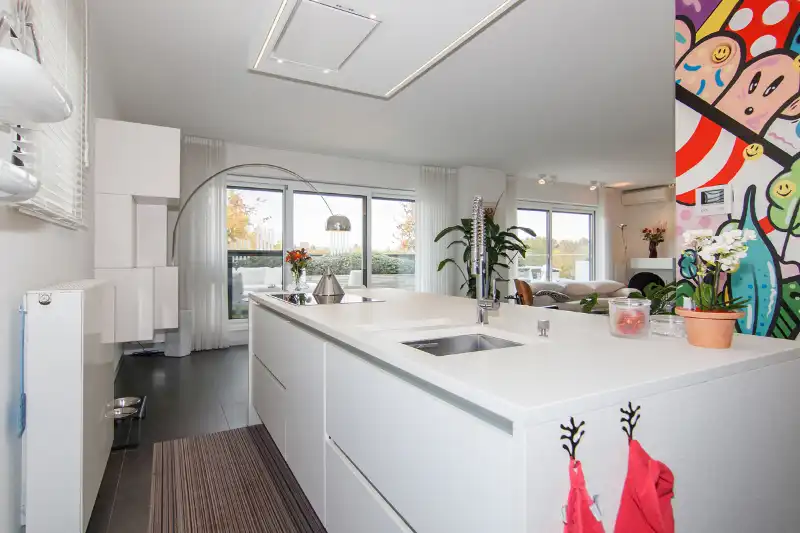 INVESTERINGSPAND: TOP GELEGEN PENTHOUSE MET UNIEK TERRAS EN LEVENSLANGE HUURDERS foto 12