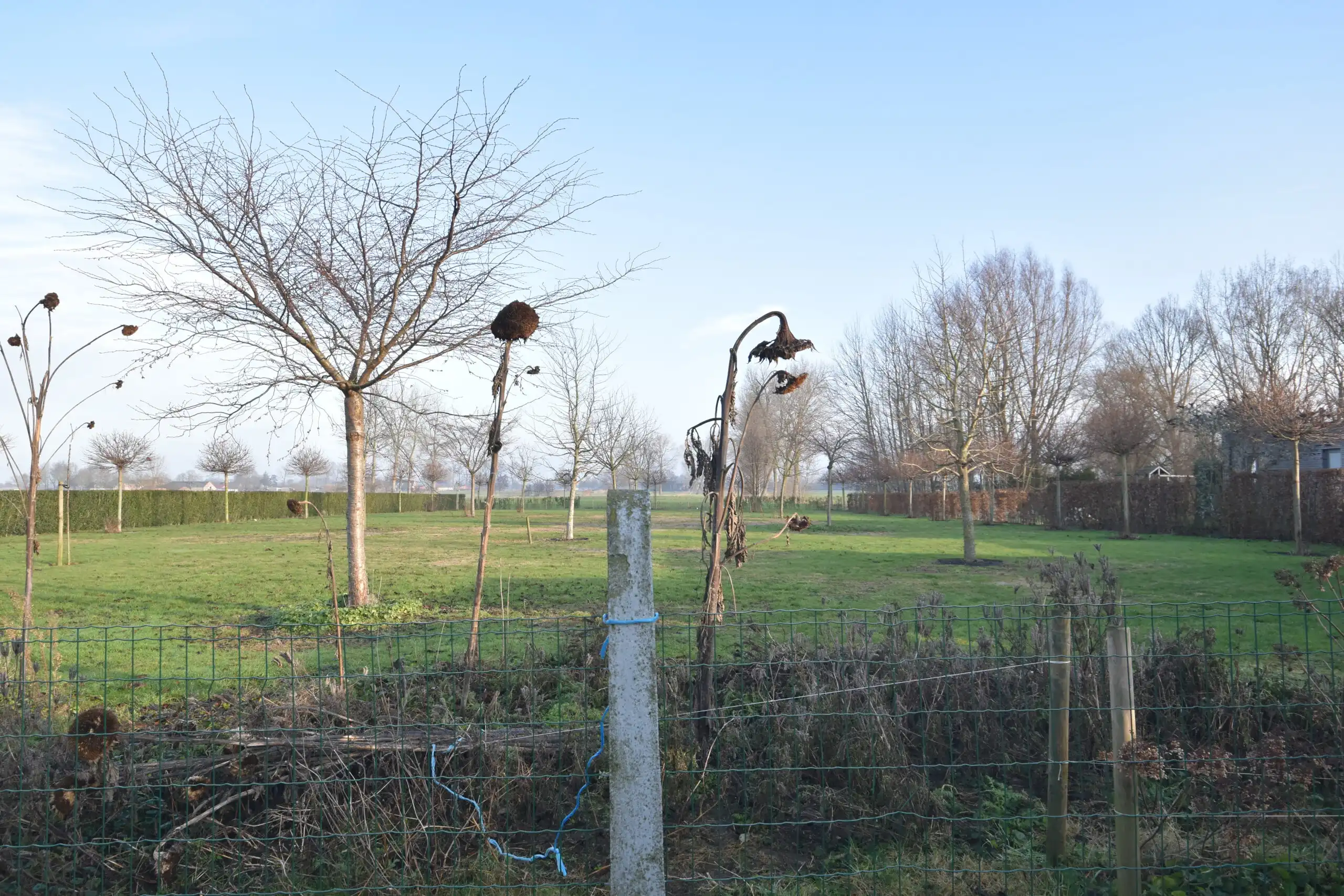 Landelijk gelegen bungalow met 3 slaapkamers en open zicht foto 3
