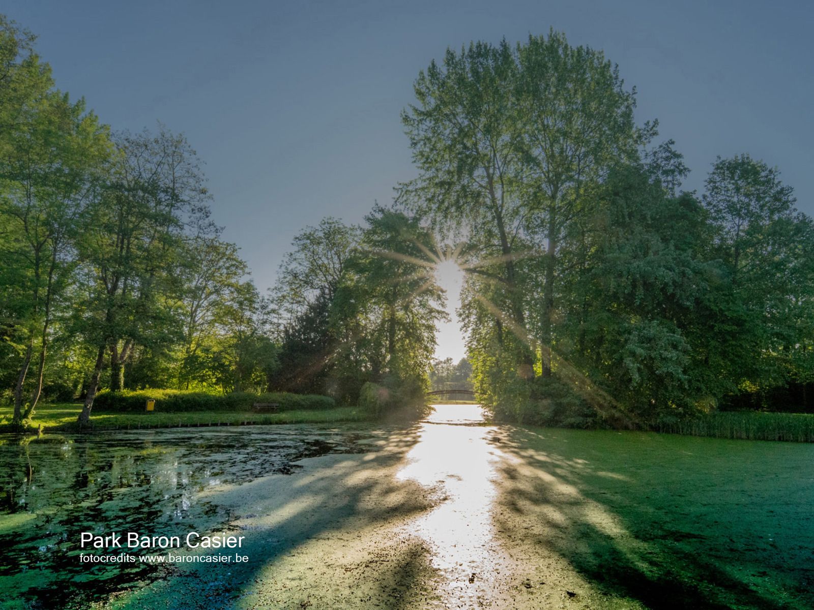 Te koop: nieuwe thuis in hartje Waregem met stadstuin foto 13