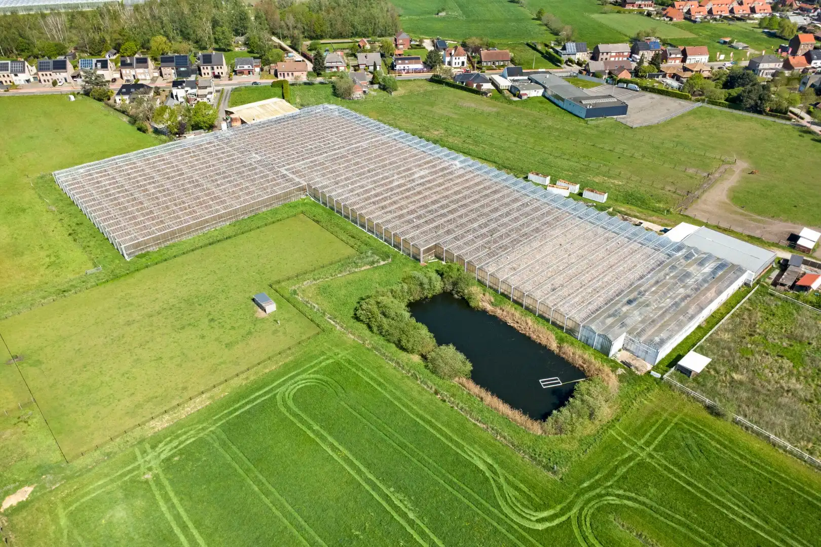 Serrecomplex met agrarische grond en magazijn foto 3