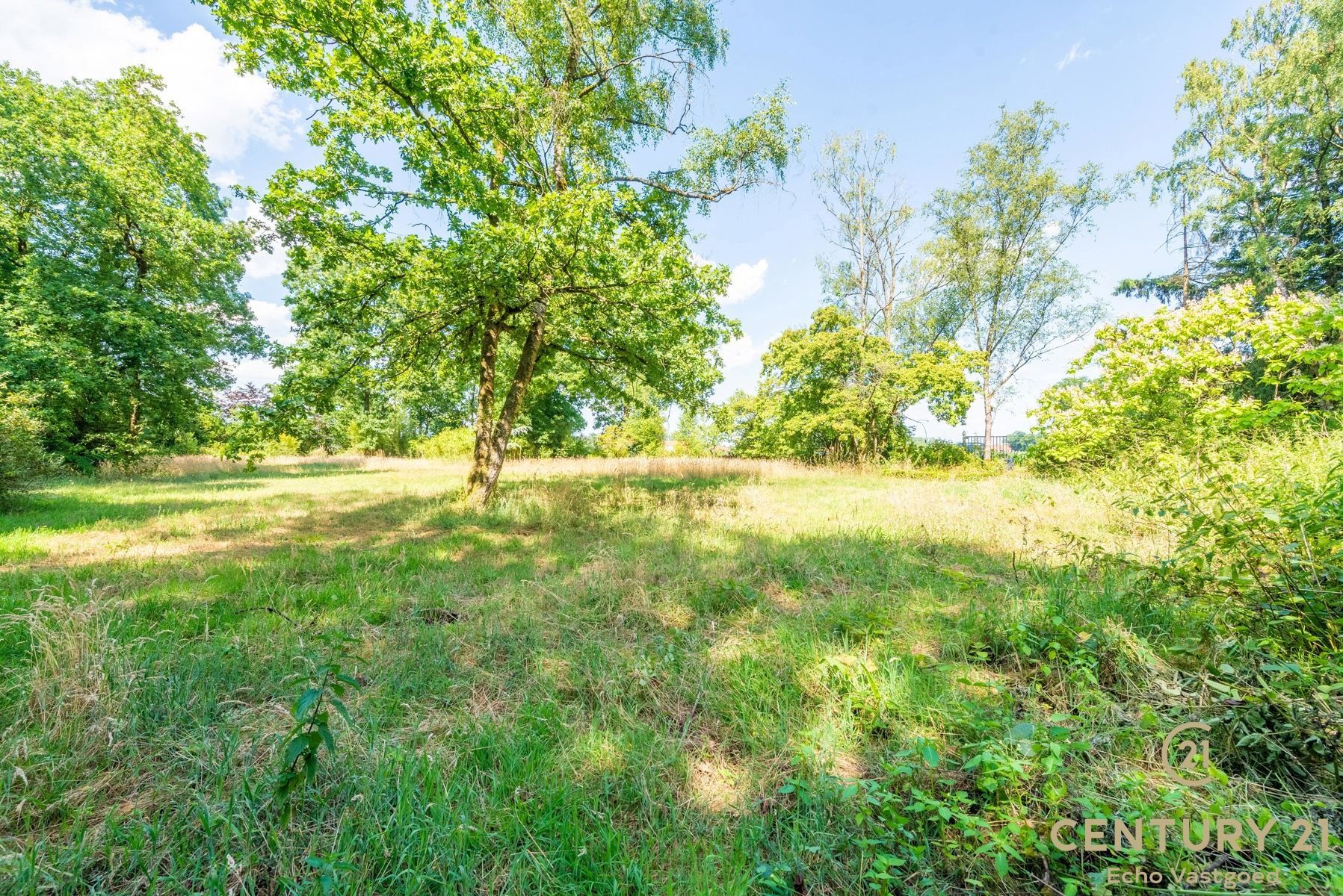 Volledig te renoveren vakantiechalet op een royaal perceel foto 17