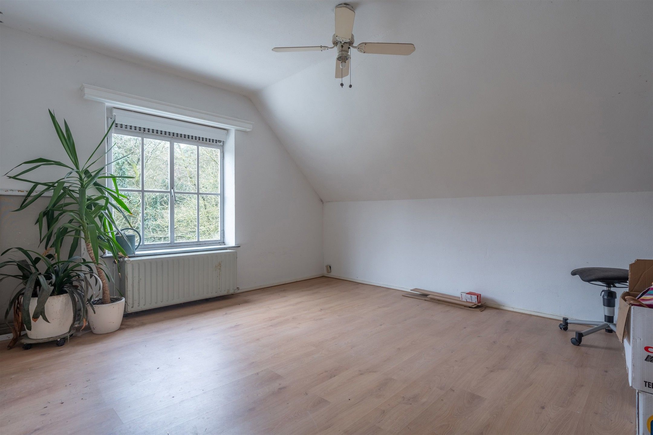 Charmante woning met veel potentieel op perceel van ± 4.100m². foto 15