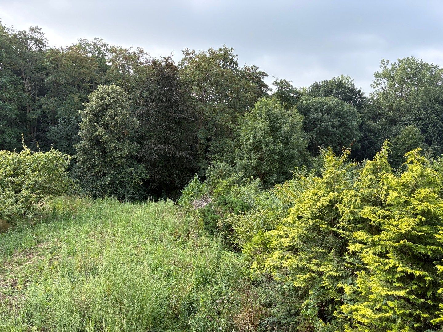 LUBBEEK nieuwbouw villa 6 slaapkamers + 2 badkamers foto 9