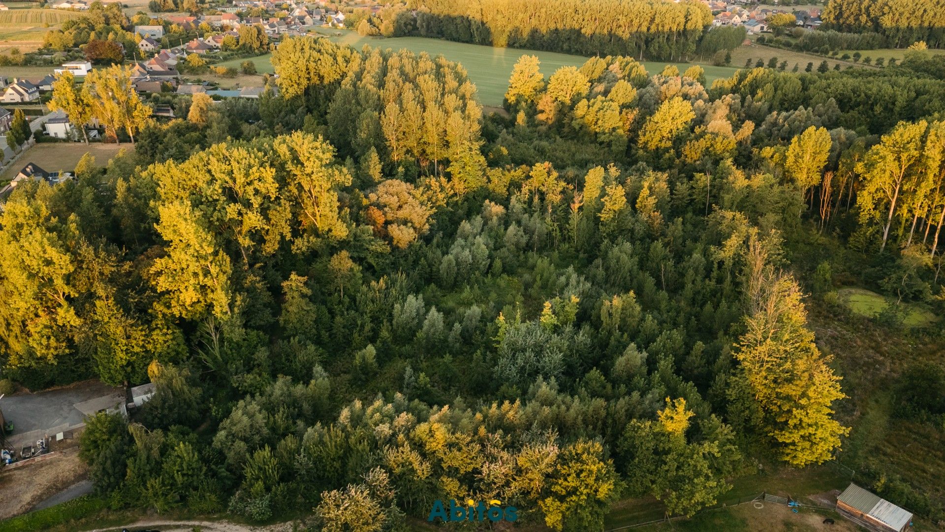 Bosgrond van 11.800 m² foto 4