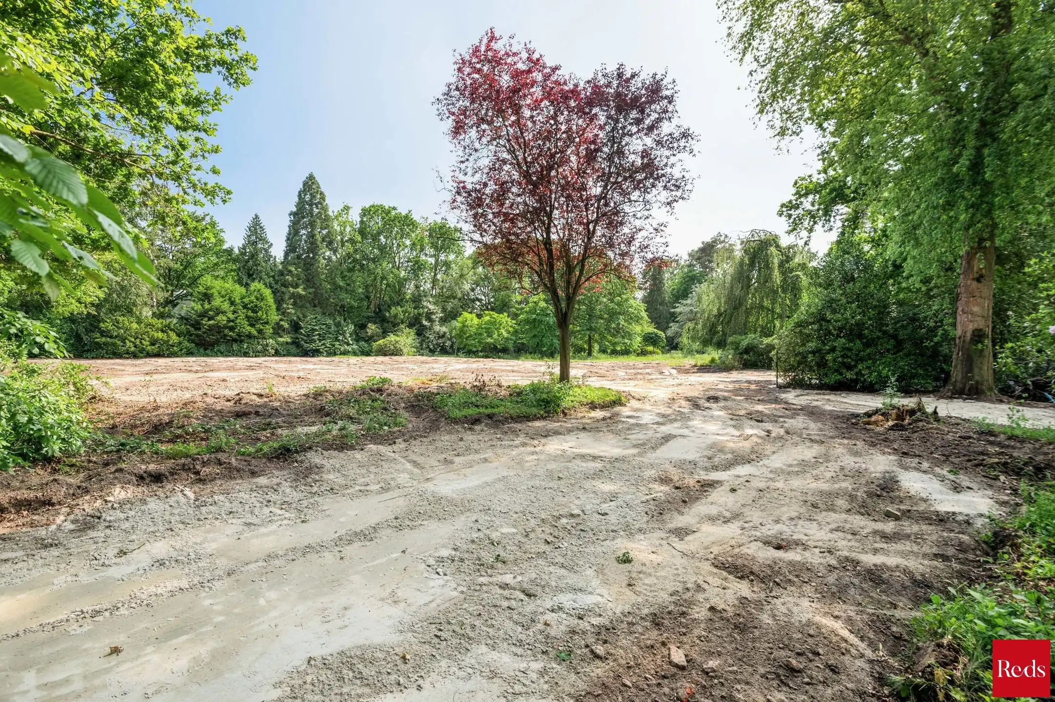 Exclusieve bouwgrond in één van de mooiste lanen van Schilde foto 4