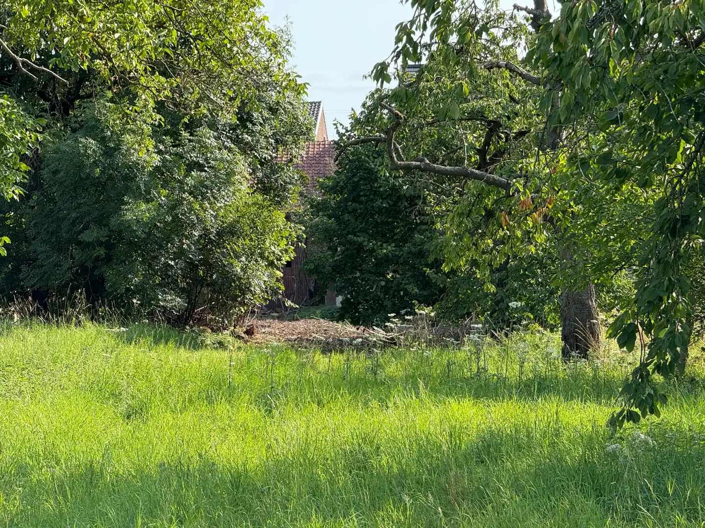 Te renoveren woning met schuur en tuin foto 4
