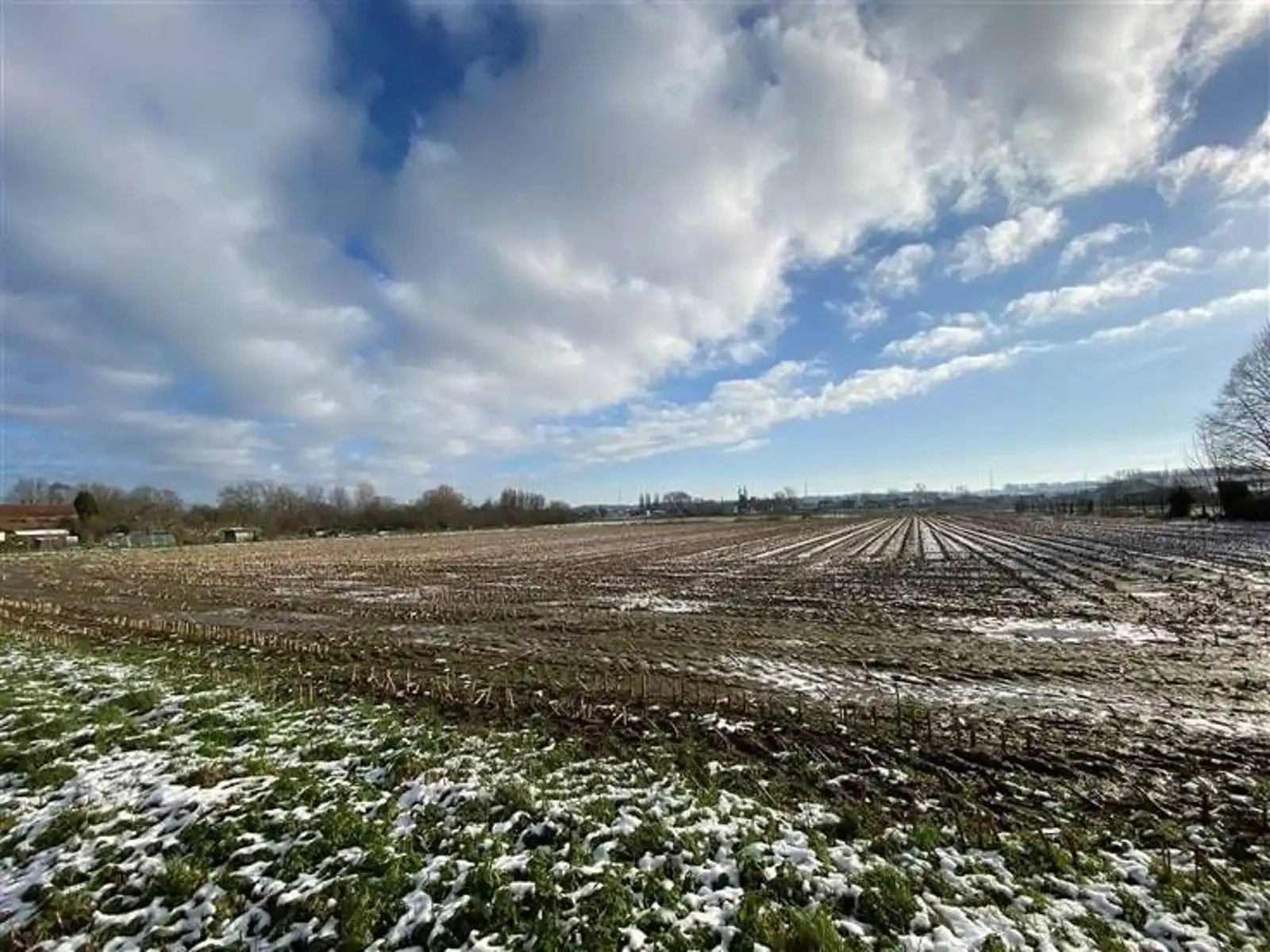 Nieuwbouwwoning -  Jouw droomwoning op maat (Lot 4) foto 4