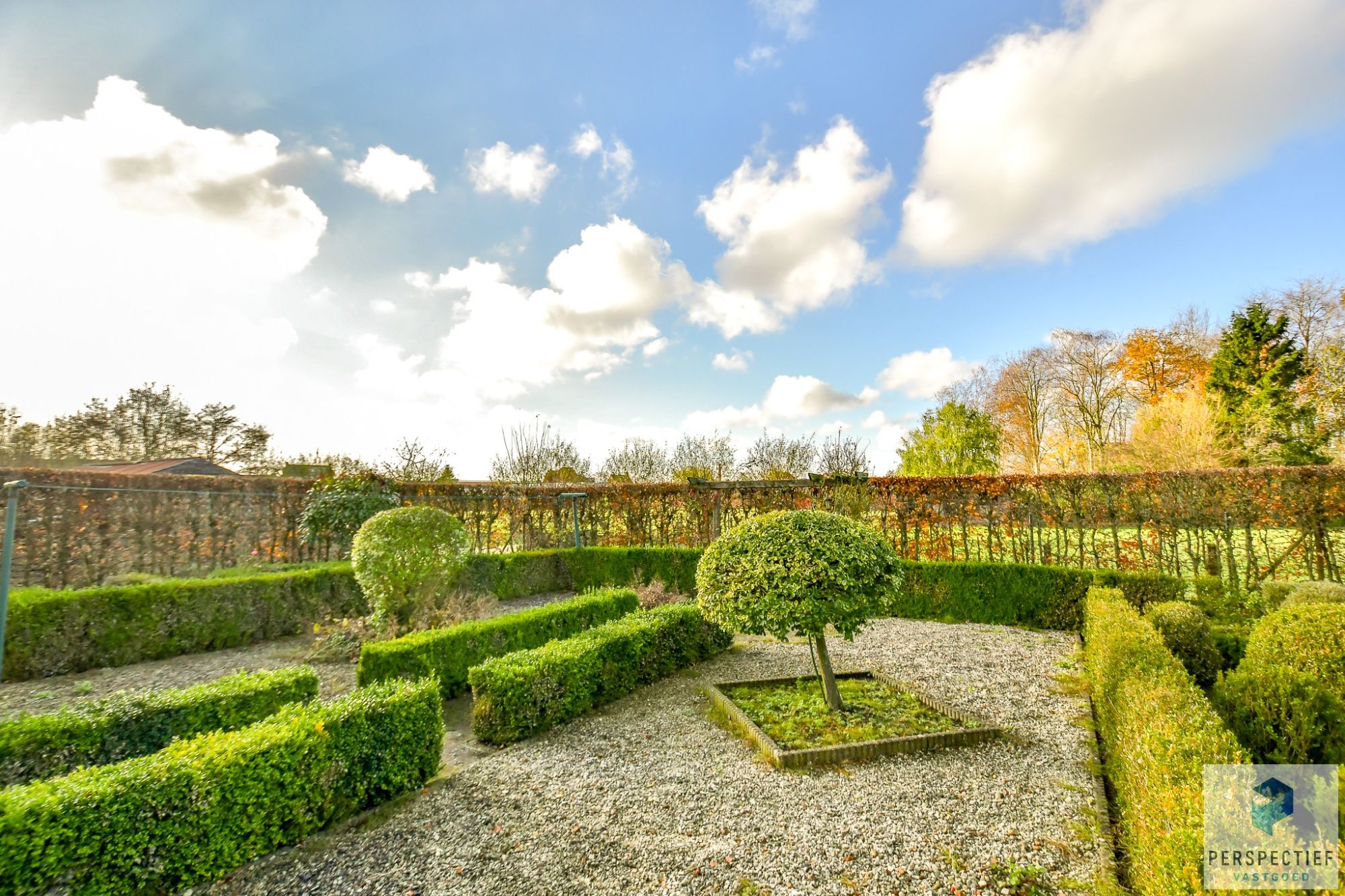 Ruime te renoveren woning met grote tuin op 858m² foto 4