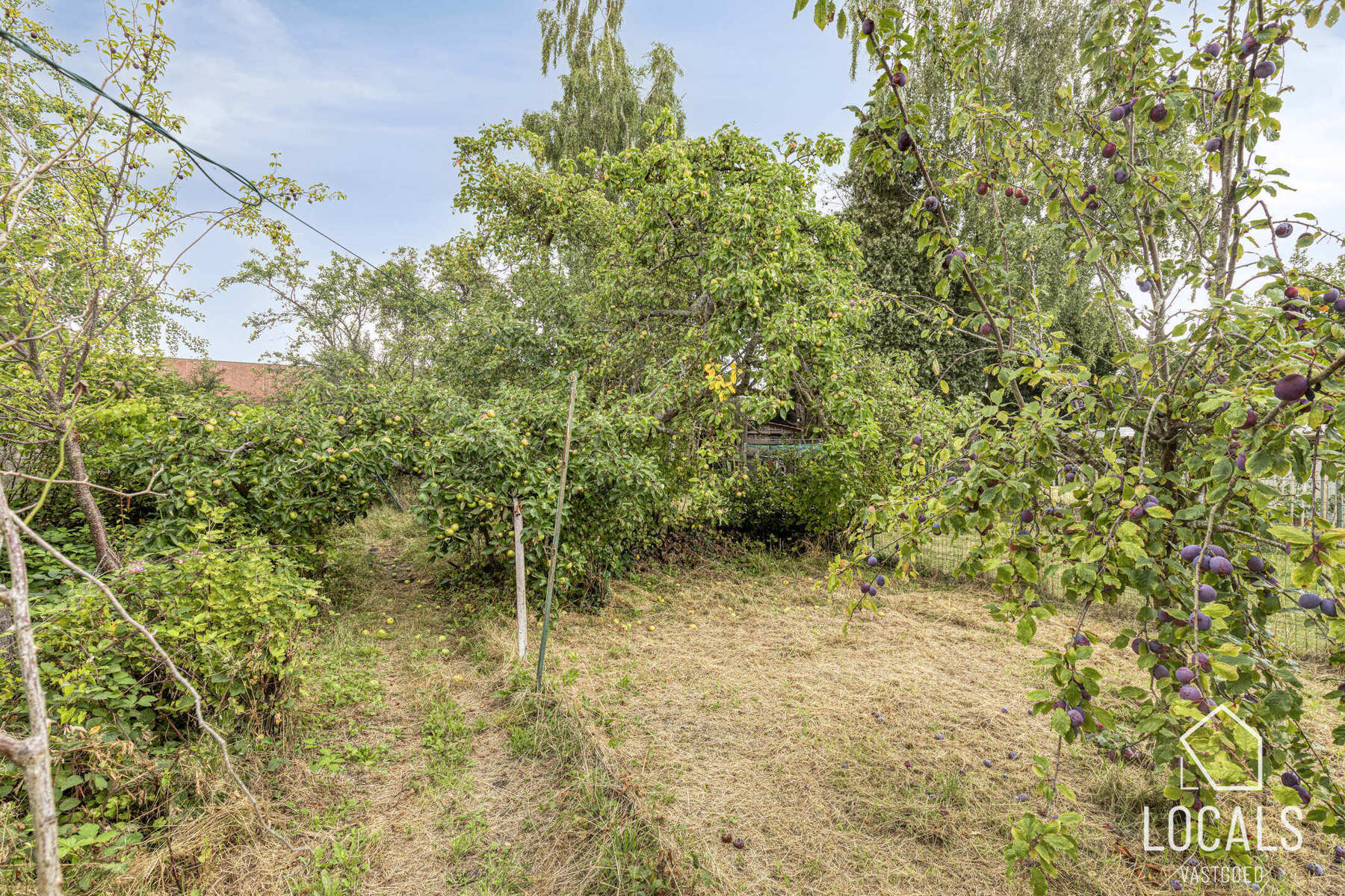 Goed gelegen HOB met tuin, garages, 3 slaapkamers en zolder foto 23