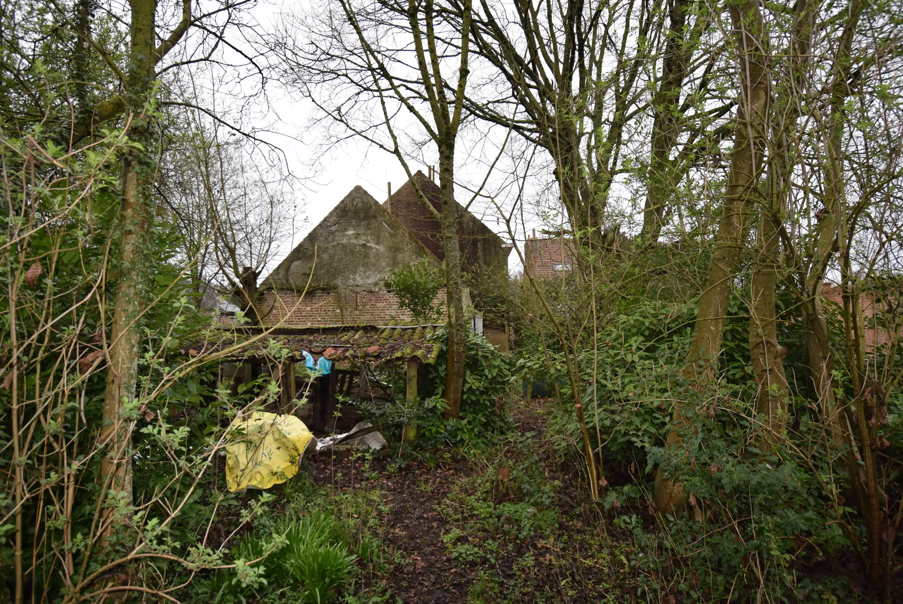 Te renoveren boerderijtje  foto 19