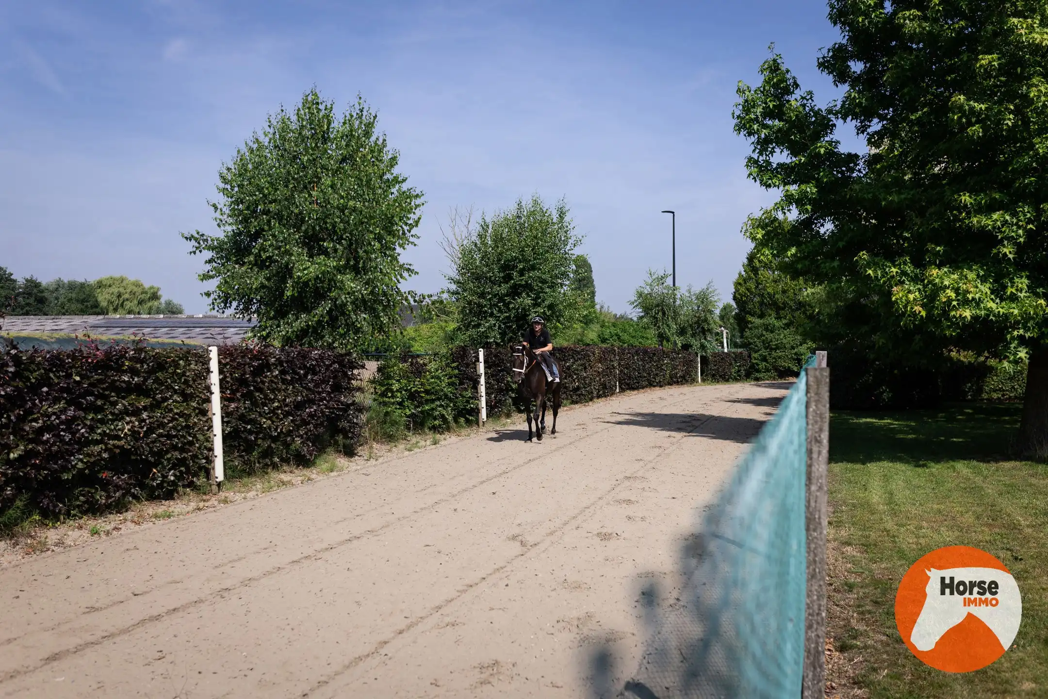 MERELBEKE -  Professioneel paardencomplex op 3,35HA foto 42