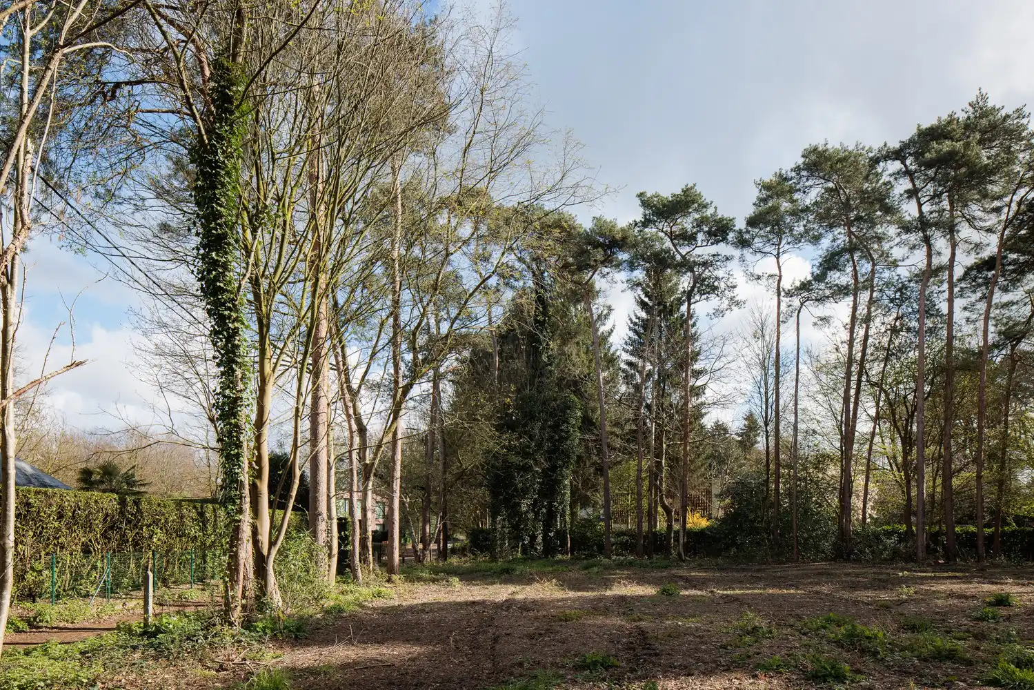 Uitstekend gelegen bouwgrond van ca. 2.993 m2 foto 2