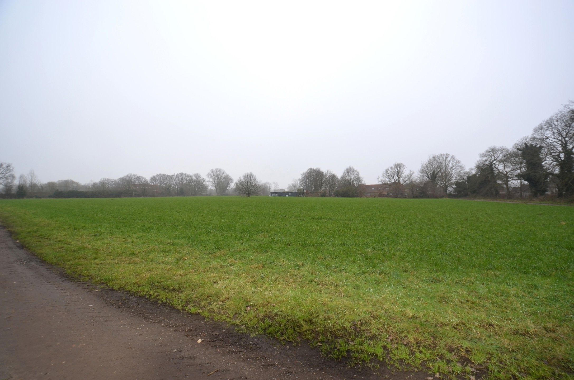 Mooi weiland foto 5