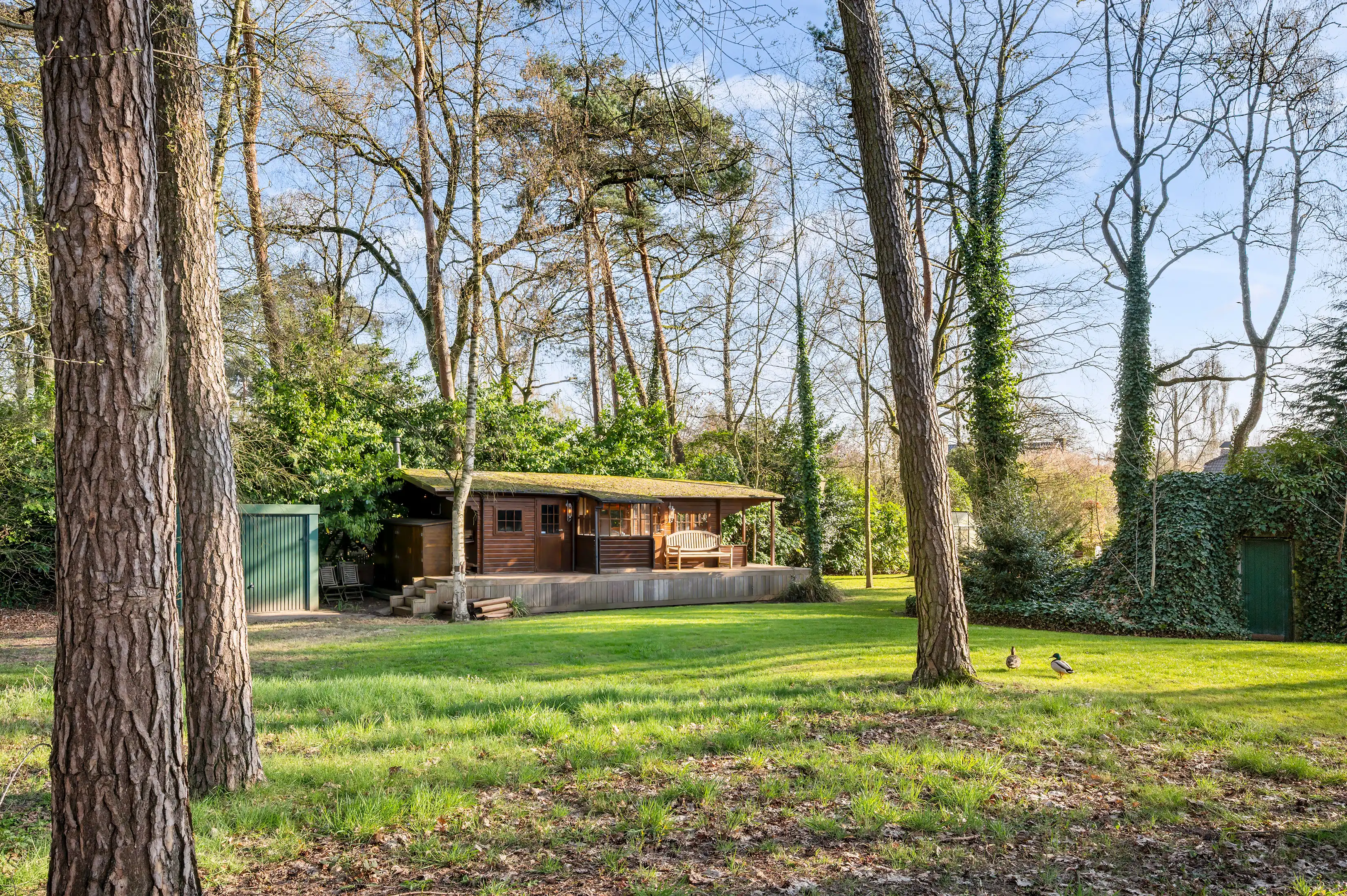 Ruime villa in het groene Zoersel foto 14