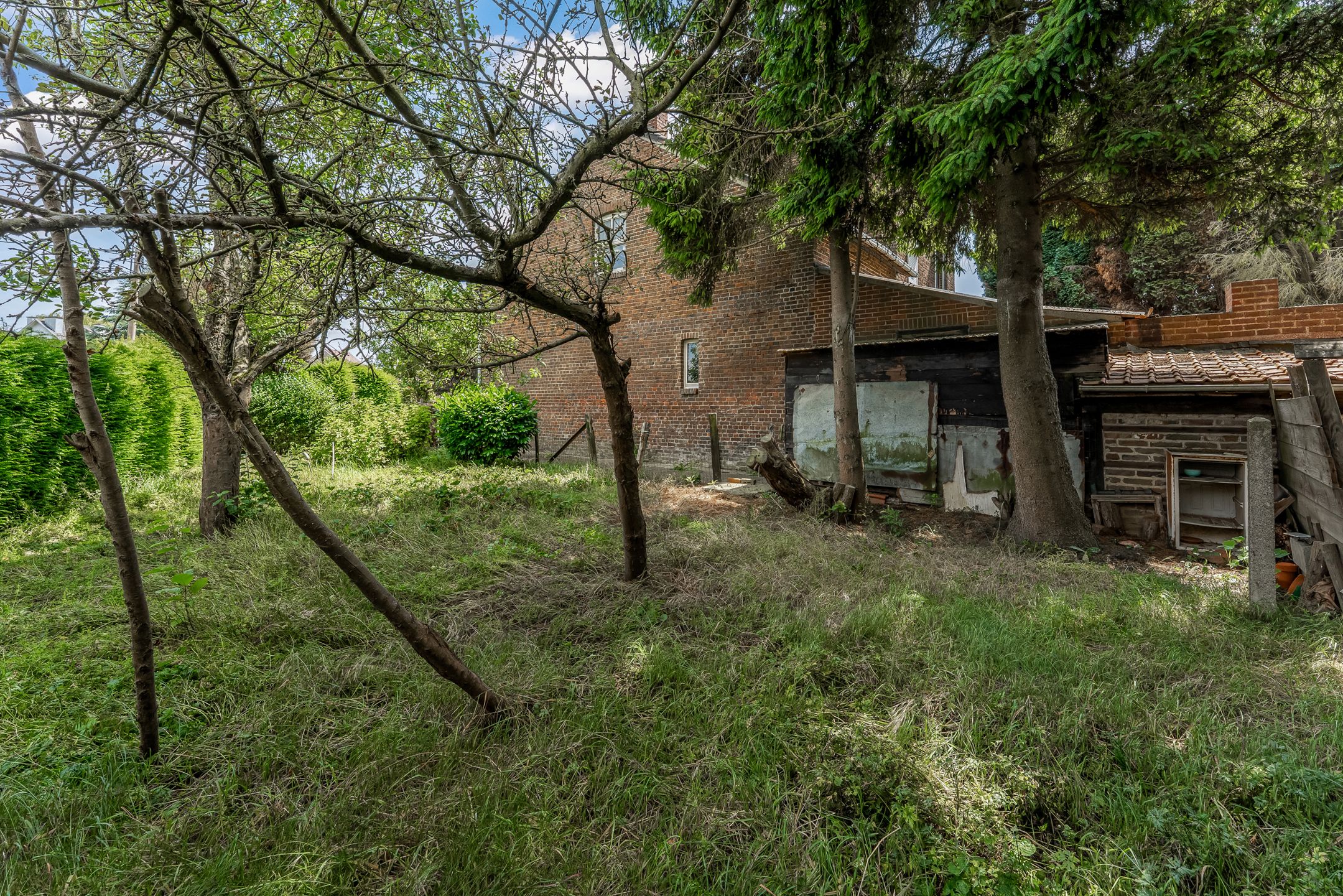 Charmante woning op 6a30ca te Kesselt foto 20